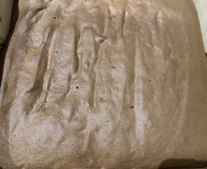 Pieczenie biszkoptu kakaowego