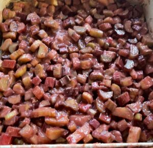 Ciasto bezowe z rabarbarem - FBF3E121 B5F7 41DA BE37 4B0B86A712CF