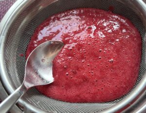 Sernik leśny - 4613E6C0 67FC 40E2 9C93 F968686D969E