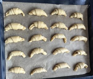 Uformowane rogaliki gotowe do kolejnego wyrastania