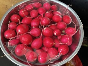 Kiszone rzodkiewki - 0EA5306F E881 499E A3EA F86FC0C012BA