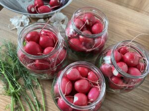 Kiszone rzodkiewki - 13558C01 CB20 482B 8E81 9CDE67DF3445