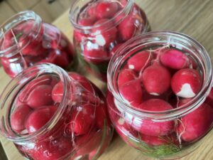 Kiszone rzodkiewki - 538DCE64 ACFD 4F54 83F3 C0498BED3F8A