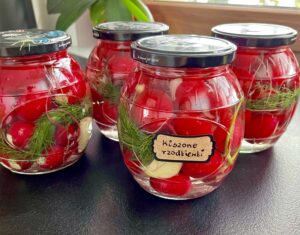 Kiszone rzodkiewki - 95F7FAF3 893D 41AF 8673 E8FC55E24980