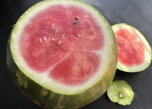 Arbuz z owocami w galaretce - pyszny deser! - 1077D56D 9A80 4692 B94E 245569656807