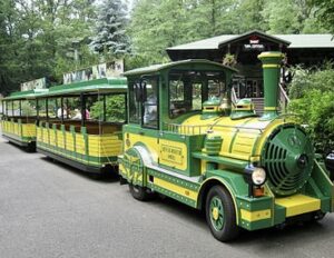 Nowe Zoo w Poznaniu - 8F2E8F64 2FBD 4687 A499 6BD3D4B43CA1