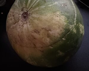 Arbuz z owocami w galaretce - pyszny deser! - F3854159 FF4C 408D A3C4 FDDF77B1155D