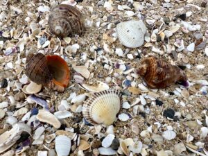 Bułgaria z dzieckiem - Złote Piaski czy Słoneczny Brzeg? - IMG 3862