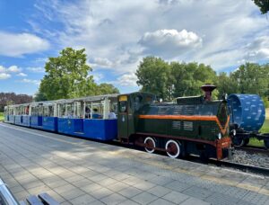 Poznańska ścieżka w koronach drzew - IMG 4557