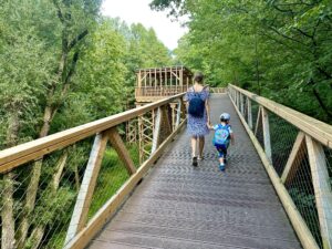 Poznańska ścieżka w koronach drzew - IMG 4621