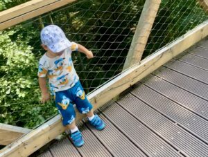 Poznańska ścieżka w koronach drzew - IMG 4644 scaled e1695632569679