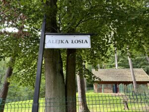 Gdańskie zoo - największy ogród zoologiczny w Polsce! - IMG 6851