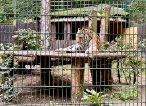 Gdańskie zoo - największy ogród zoologiczny w Polsce! - IMG 6874