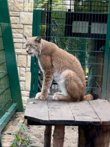 Gdańskie zoo - największy ogród zoologiczny w Polsce! - IMG 6885