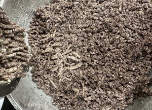 Mielenie maku do makowca królewskiego