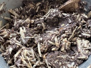 Dodawanie jabłek do masy makowej