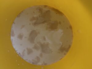 Przygotowanie rozczynu drożdżowego