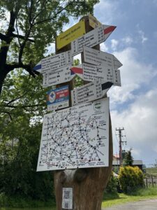 Wielka Sowa - zdobywamy najwyższy szczyt Gór Sowich! - IMG 4752