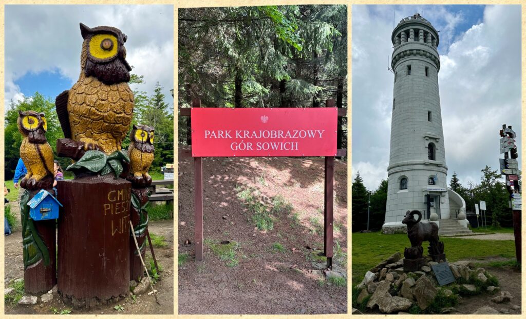 Wielka Sowa – zdobywamy najwyższy szczyt Gór Sowich!