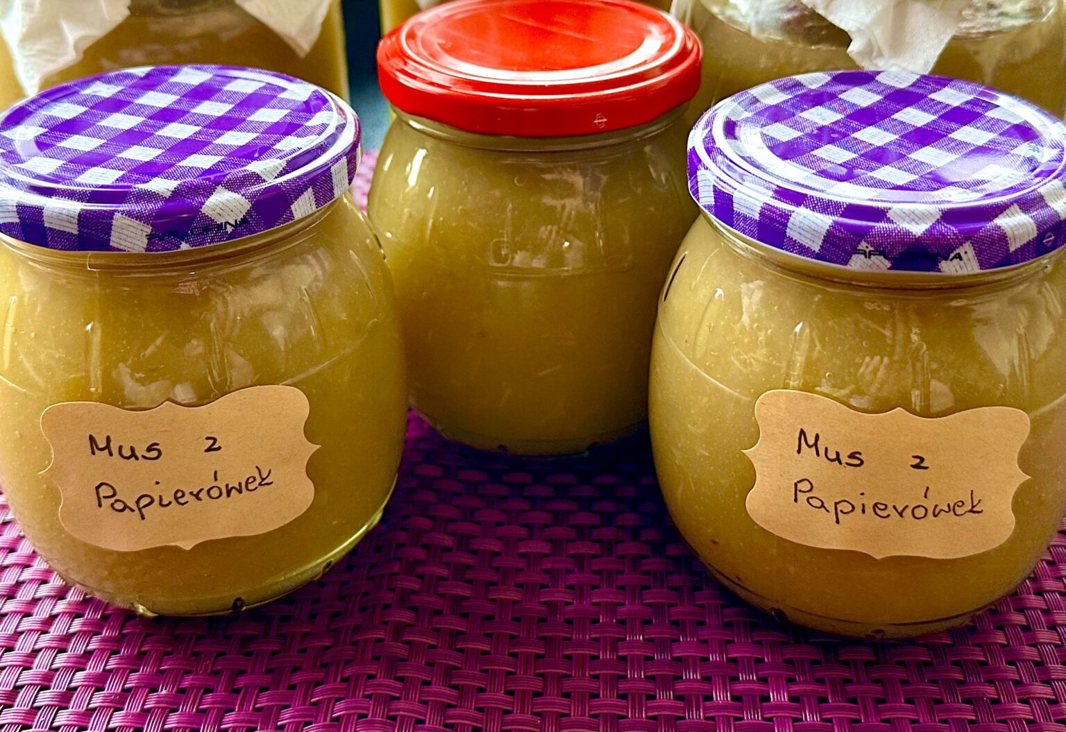 Mus z papierówek do słoików - IMG 9660