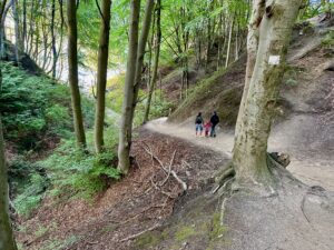 Rozewie - urokliwy przylądek nad Morzem Bałtyckim - IMG 0284