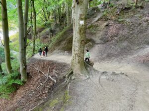 Rozewie - urokliwy przylądek nad Morzem Bałtyckim - IMG 0286