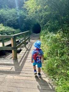 Rozewie - urokliwy przylądek nad Morzem Bałtyckim - IMG 0858