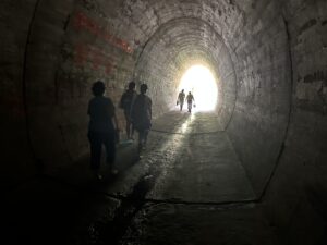 Rozewie - urokliwy przylądek nad Morzem Bałtyckim - IMG 0873