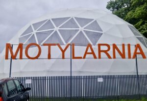 Rozewie - urokliwy przylądek nad Morzem Bałtyckim - IMG 0912