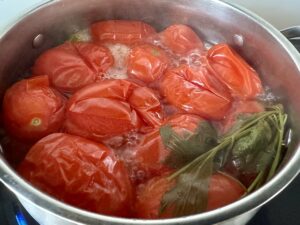 Kluseczki półfrancuskie w zupce ze świeżych pomidorów - IMG 1481