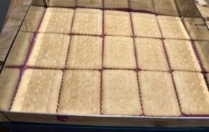 Jogurtowa jagódka - pyszne ciasto bez pieczenia! - IMG 2993