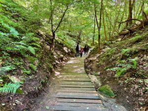 Rozewie - urokliwy przylądek nad Morzem Bałtyckim - IMG 9765