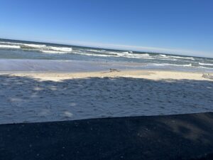 Rozewie - urokliwy przylądek nad Morzem Bałtyckim - IMG 9930