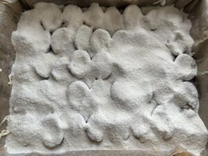 Ciasto sypane ze śliwkami - IMG 4351