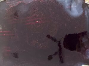 Jagodowiec z kremem karpatkowym - IMG 8521 scaled e1754296816921