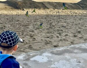 Malaga - zachwyca latem i zimą! - IMG 4367