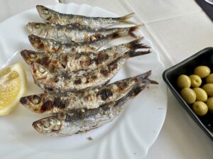 Malaga - zachwyca latem i zimą! - IMG 4497