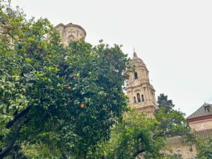 Malaga - zachwyca latem i zimą! - IMG 4639