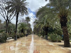 Malaga - zachwyca latem i zimą! - IMG 4830