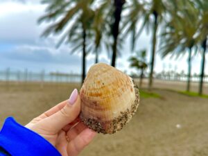 Malaga - zachwyca latem i zimą! - IMG 4942