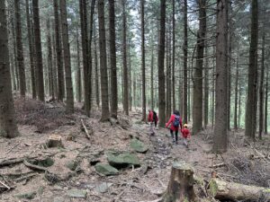 Skopiec i Skalnik - zdobywamy dwa szczyty KGP w jeden dzień - IMG 7424