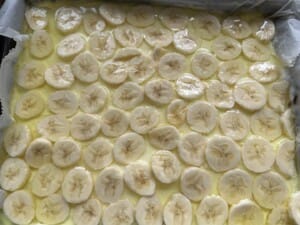 Cytrynowiec z bananami - IMG 2307