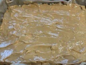 Orzechowiec z karmelem - IMG 2604