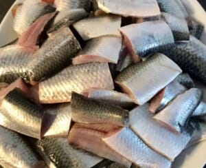 Opiekane śledzie w zalewie z galaretki - IMG 2659