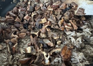 Najlepszy farsz do uszek, pierogów, krokietów i pasztecików! - IMG 4333