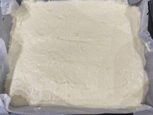 Sernik na serkach homogenizowanych z brzoskwiniami - IMG 6664