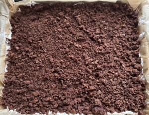 Ciasto Ananasek - IMG 0683