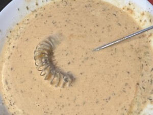 Zapiekanka tortillowa - IMG 1486