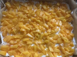 Brzoskwiniowa Mgiełka - IMG 2018