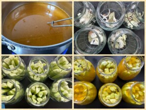 Ogórki na zimę w zalewie Curry - IMG 3906
